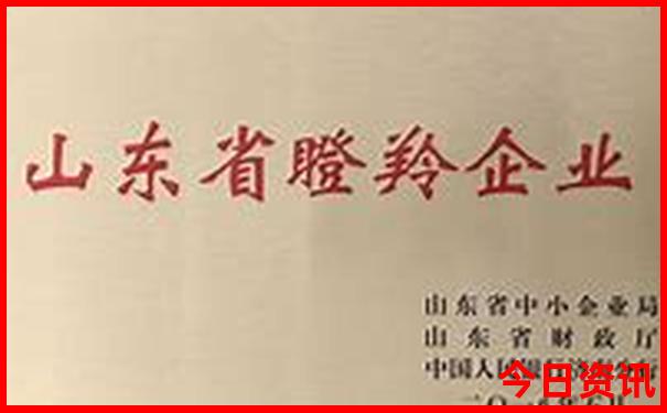 舟山朱家尖必去景点