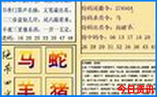 2025澳门特马今晚开奖49图